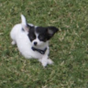 Meet your Posher, Cheryl